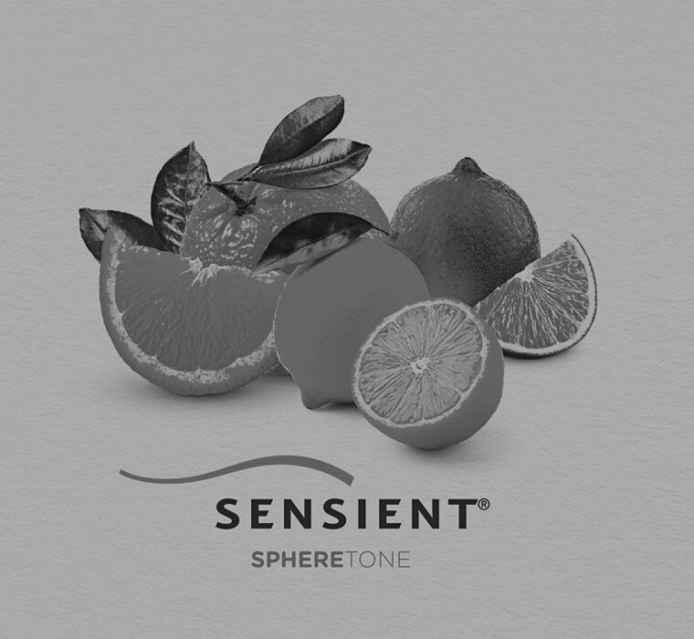 SENSIENT | Creative Production Workshop | Creative Design Solutions